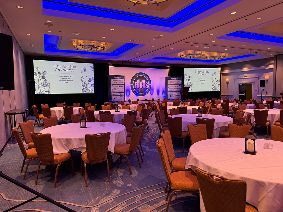 Close-up view of a fixed frame projection screen in a conference room