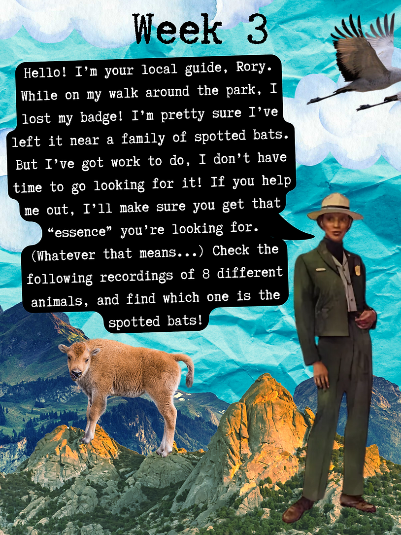 Week 3 Online.png
