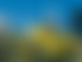 Primavera nos condomínios: mais vida nas áreas comuns, mais atenção à segurança