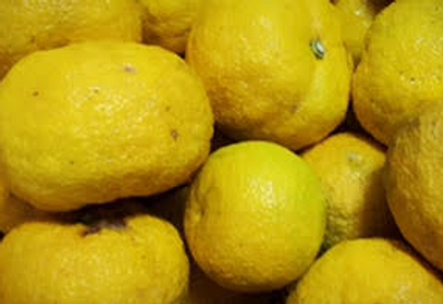 yuzu.png