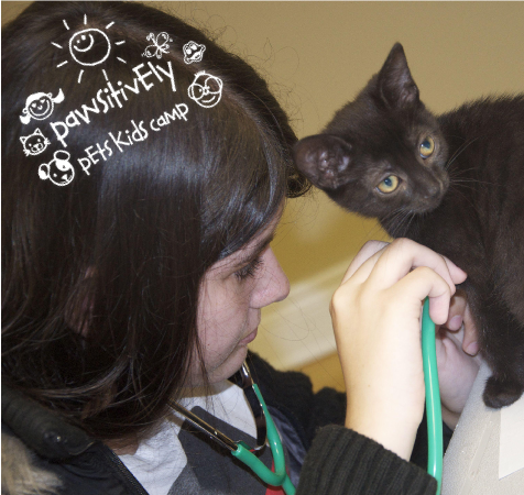 Pawsitively Pets Kids Camp