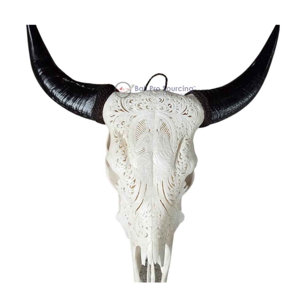 Thumbnail: Large White Buffalo Skull