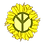 Sunflower.png