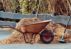gardening-3997259_1280.jpg