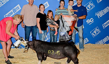 2024-Summer-Type-ConfChampion-Poland-Boar.jpg