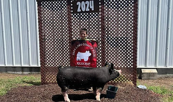 Theo-McGovern-Linn-Co-Fair.jpg