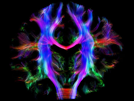 Clearing Family Trauma & Lineage Patterns - only the love remains