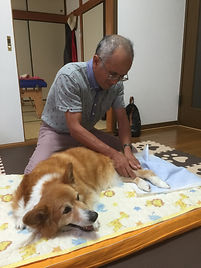千葉市花見川区 グッドハンドたつき