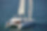 Tahiti yacht charter