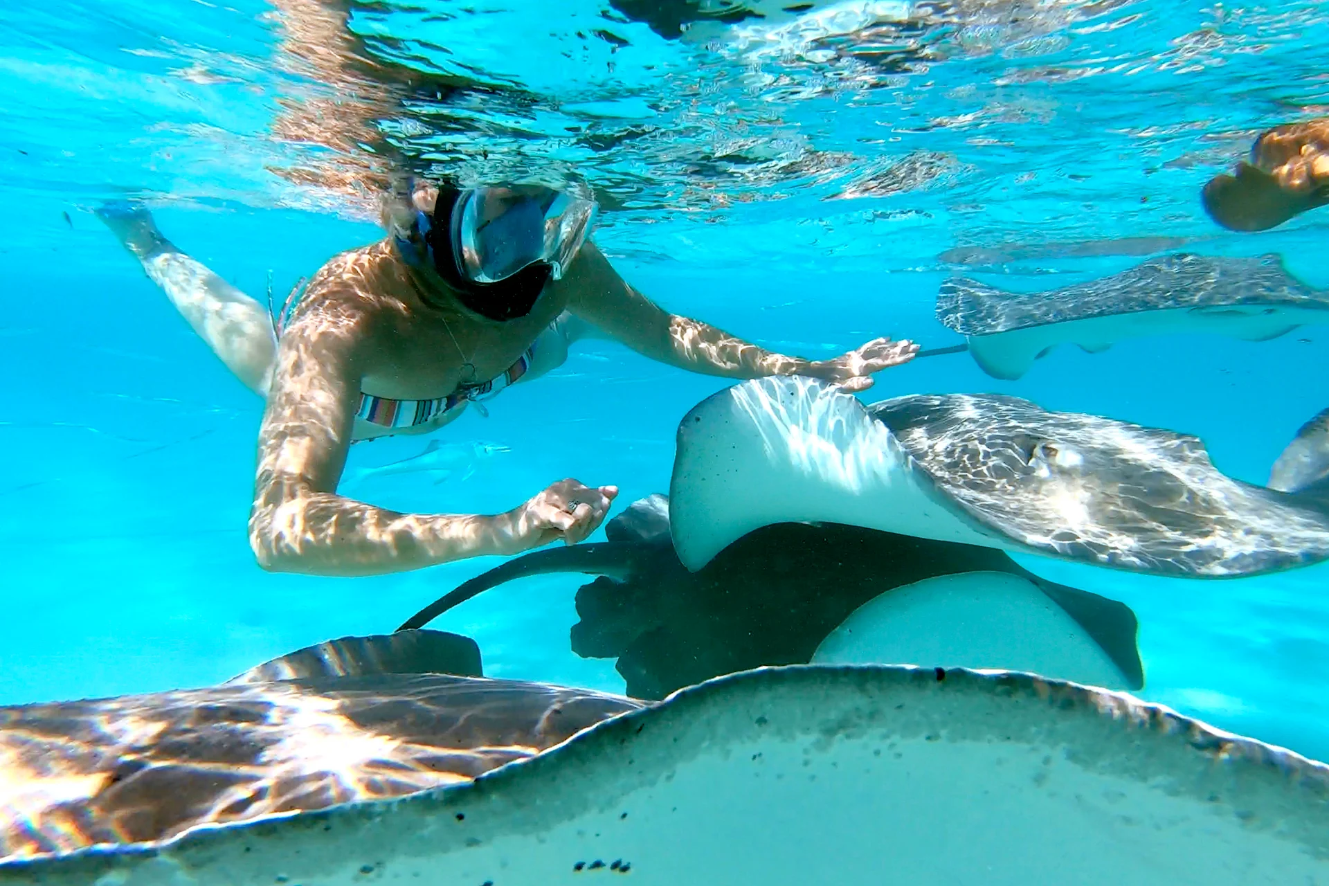 snorkeling in French Polynesia