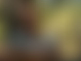 Field Hollers with Luke Wallace