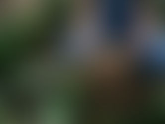 Soil Health, Microbiology, and Compost Brewing Workshop