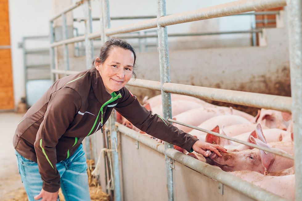Bäuerin streichelt Schweine im Stall