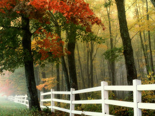 For New Albany Network