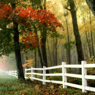 For New Albany Network