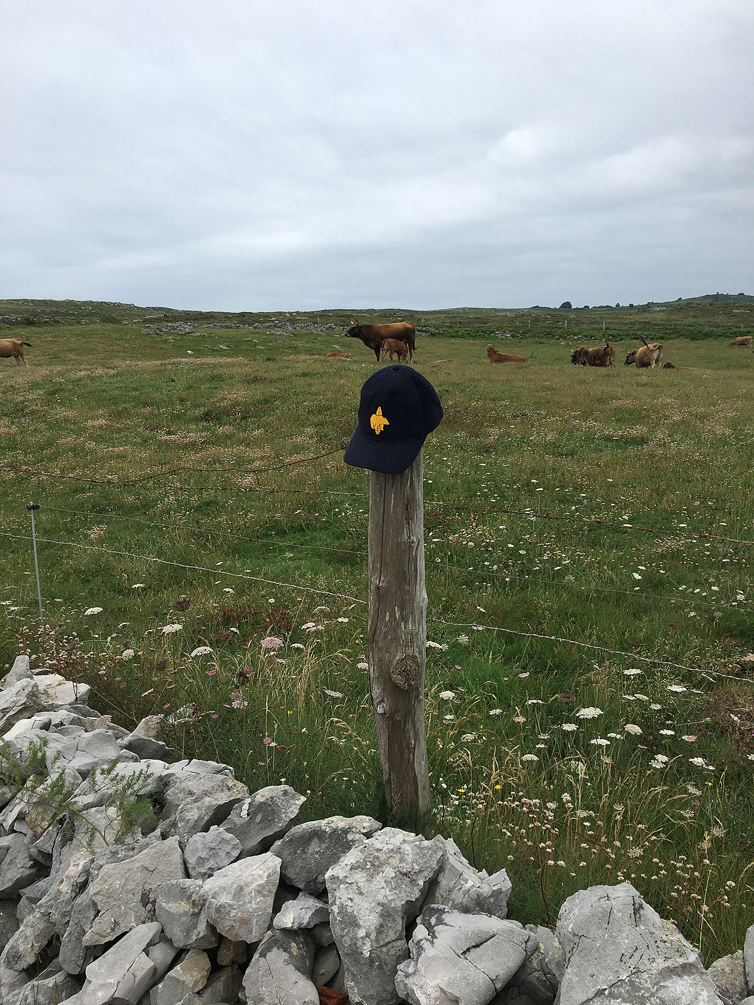 asturias