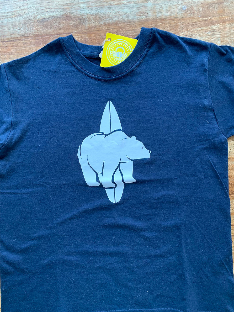 CAMISETA OSO SURF 10€