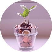 plantadinero.png