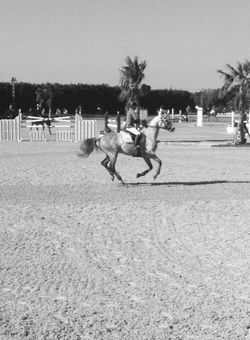 1898085_440851322713042_1497597949_n