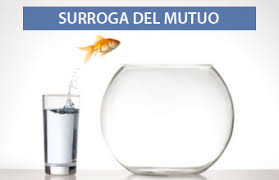Surroga del Mutuo. Che cosa è?