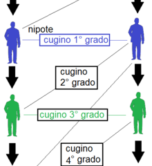 Quali sono i gradi di parentela