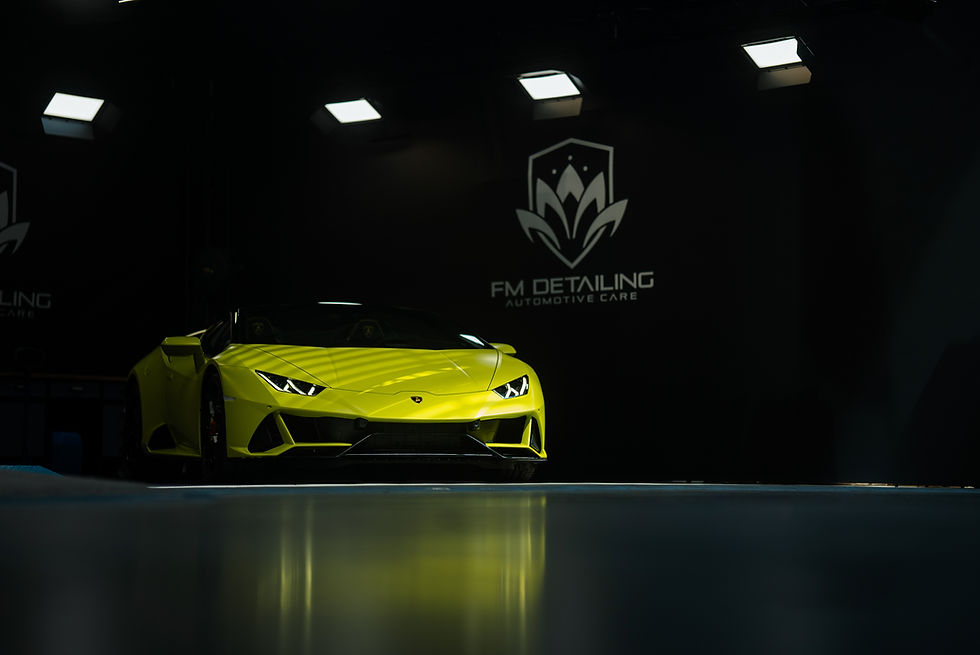 EVO-1.jpg