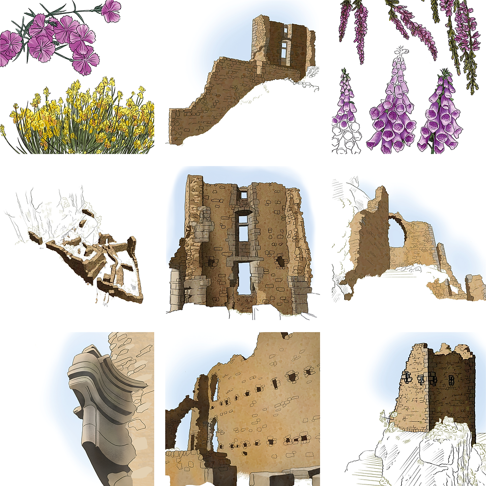 Ruines du Château de Rochebonne