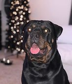 Onyx