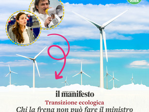 CHI FRENA LA TRANSIZIONE ECOLOGICA NON PUO' FARE IL MINISTRO