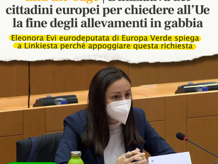 LA COMMISSIONE METTA FINE AGLI ALLEVAMENTI IN GABBIA
