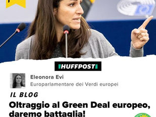 OLTRAGGIO AL GREEN DEAL EUROPEO, IL MIO ARTICOLO SU HUFFINGTON POST