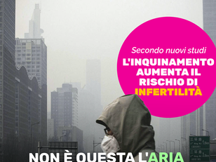 INQUINAMENTO DELL’ARIA E INFERTILITÀ, UNO STUDIO RIVELA IL LEGAME