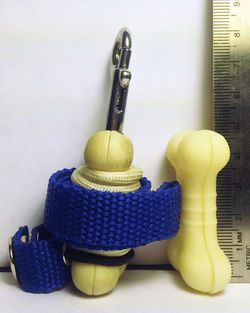 Emergency Dog Leash