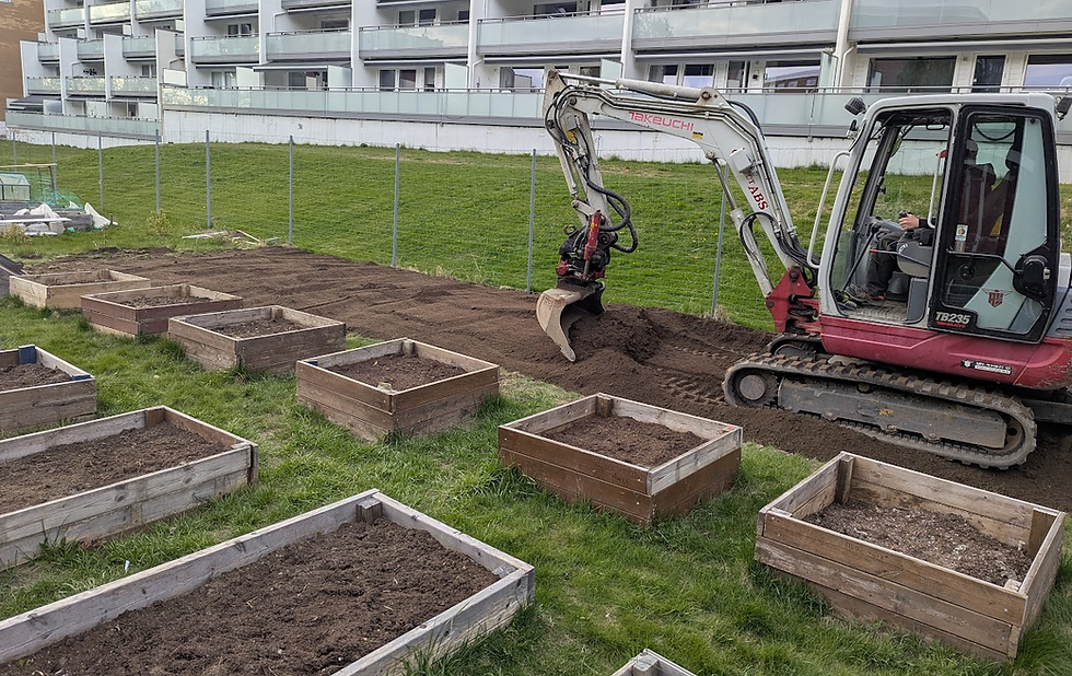 Blomstereng i Blystadliahagen