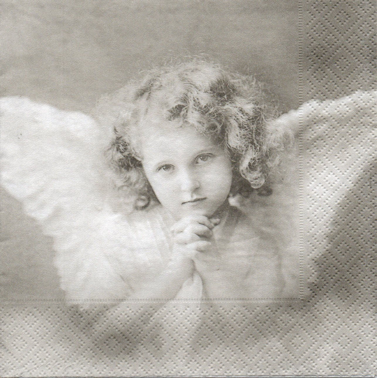 Napkins N385 Lunch size 33x33cm