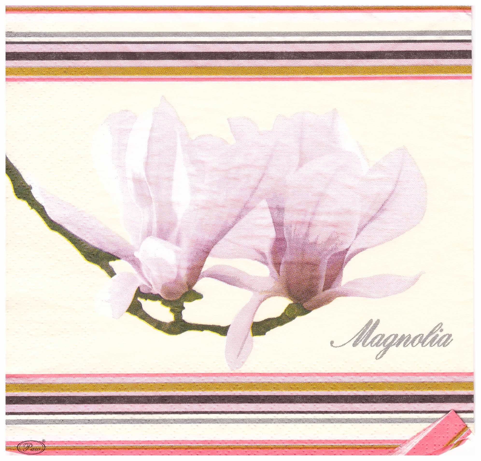 Napkins N1096 Lunch size 33x33cm Flowers Magnolia