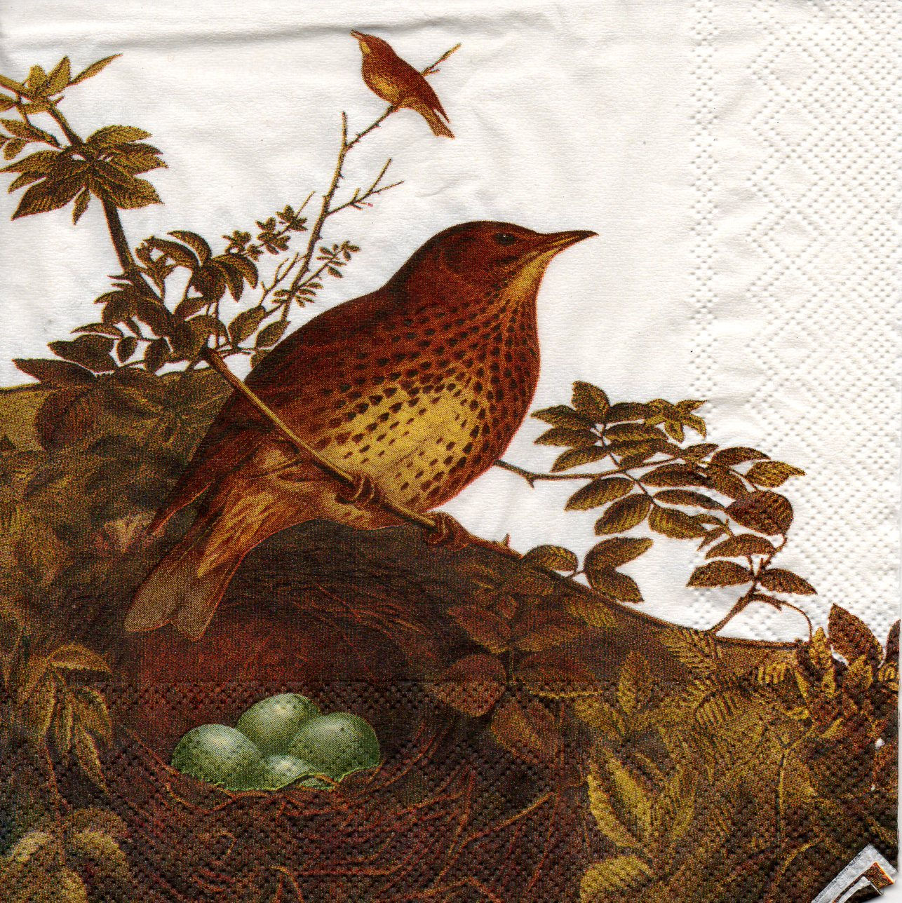 Napkins N266 Lunch size 33x33cm