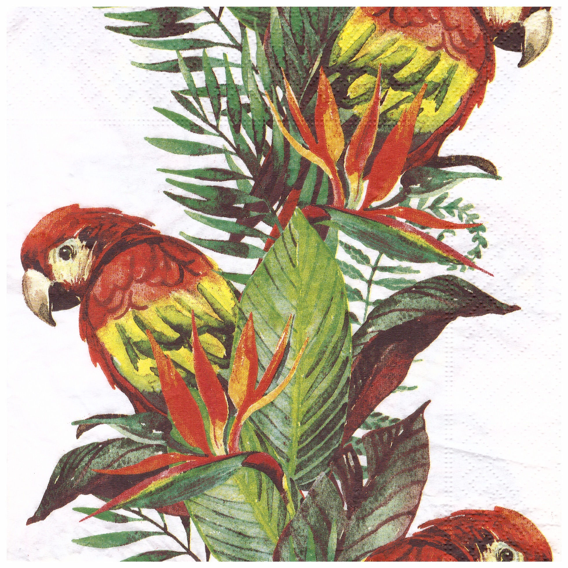 Napkins N1197 Lunch size 33x33cm