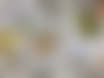 Comment débuter sa collection de timbres? Les premiers pas dans l'univers fascinant de la philatélie