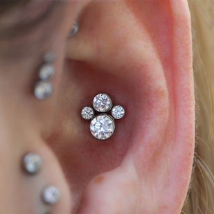 Tallahassee Florida Conch Piercing with Cubic Zirconia Paw Cluster from Anatometal done at Magnolia Tattoo and Piercing Company