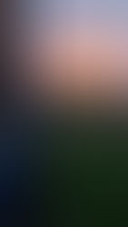 "Top 5 Reasons to Hire a Campervan for Your Next Adventure"