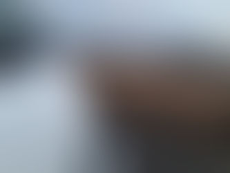 From Tinsel to Tide Pools: A Northern New Year Adventure