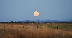 moon.jpeg