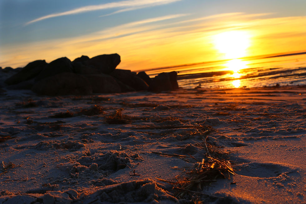 Cape Cod