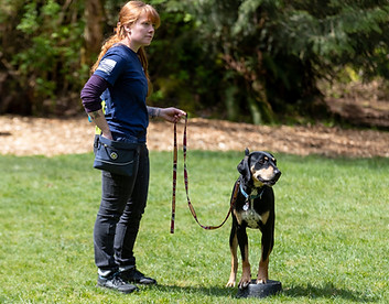 2022-07-27 - HaywardPhoto132899.jpg