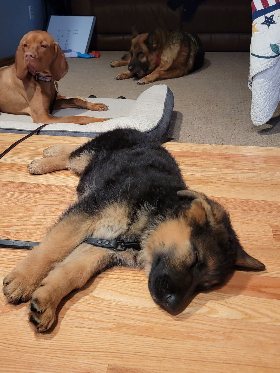 Nap time!