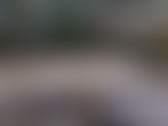 Bjälklagets första lager är klart 4 September 2024