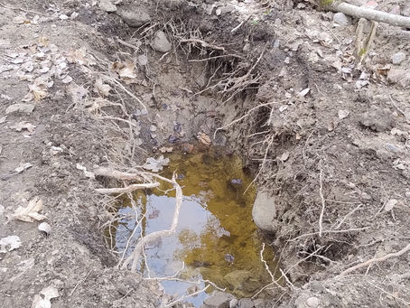 Avlopp, inte en skitsak 12 April 2024