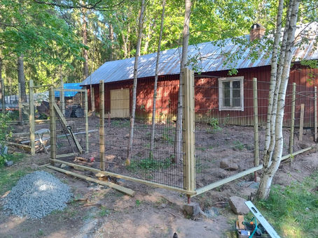 Höns och Ankgård 20 maj 2024