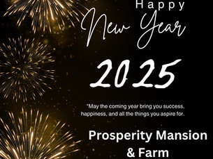 Happy New Year 2025